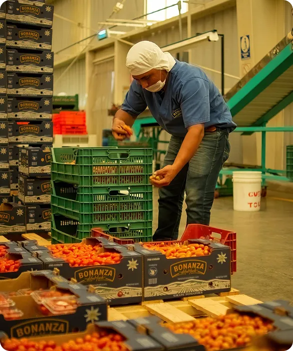 modern food & beverages operations